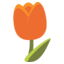 :tulip: 🌷